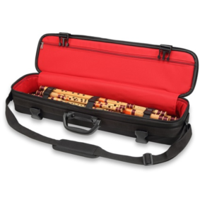 Flutes Semi Hard Case ( Black)